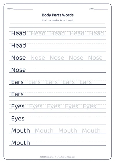 body parts words tracing worksheet
