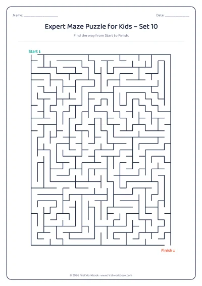 expert maze puzzle worksheet for kids