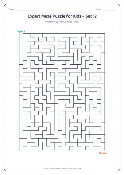 expert maze puzzle worksheet for kids