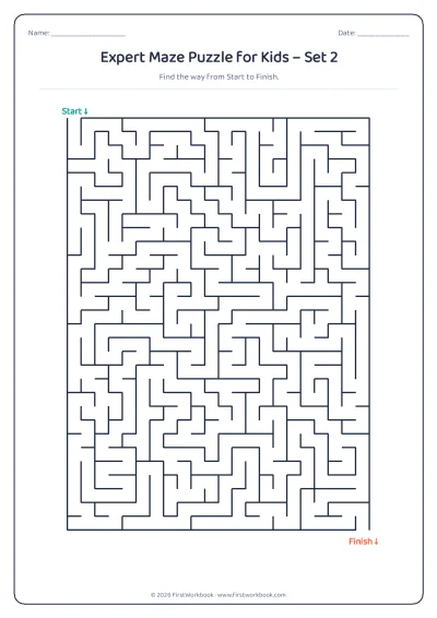 expert maze puzzle worksheet for kids