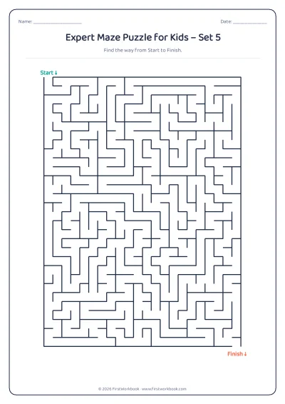expert maze puzzle worksheet for kids