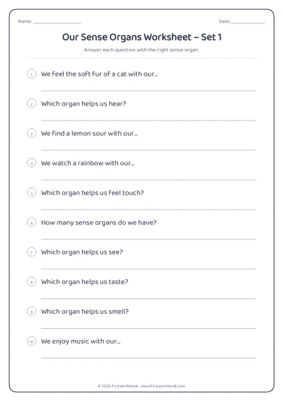 our sense organs science worksheet for kids