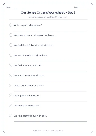 our sense organs science worksheet for kids