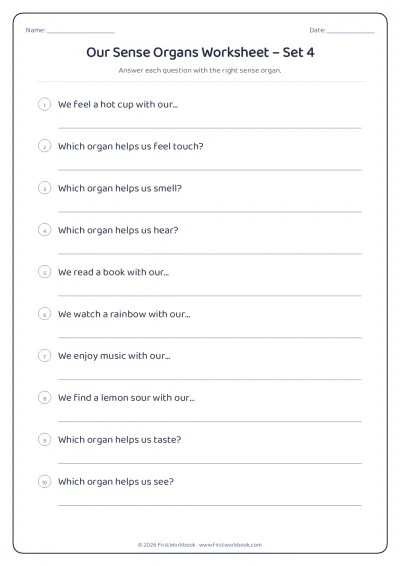 our sense organs science worksheet for kids