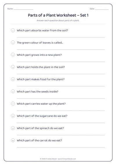 parts of a plant science worksheet for kids