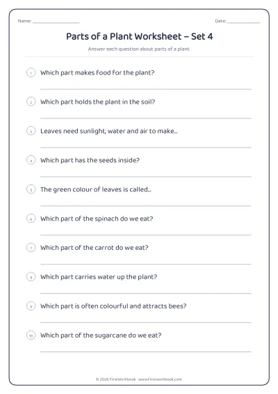 parts of a plant science worksheet for kids