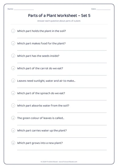 parts of a plant science worksheet for kids