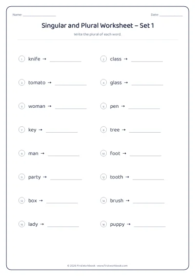 singular and plural English grammar worksheet