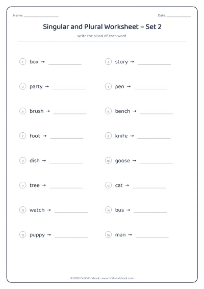 singular and plural English grammar worksheet