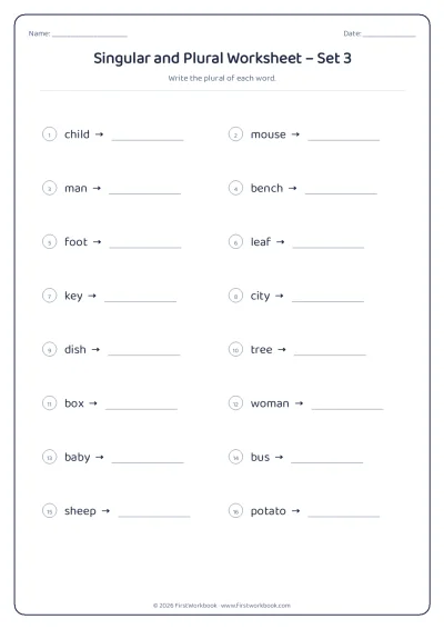 singular and plural English grammar worksheet