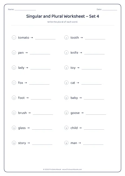 singular and plural English grammar worksheet