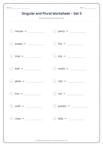 singular and plural English grammar worksheet