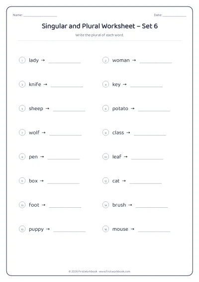 singular and plural English grammar worksheet